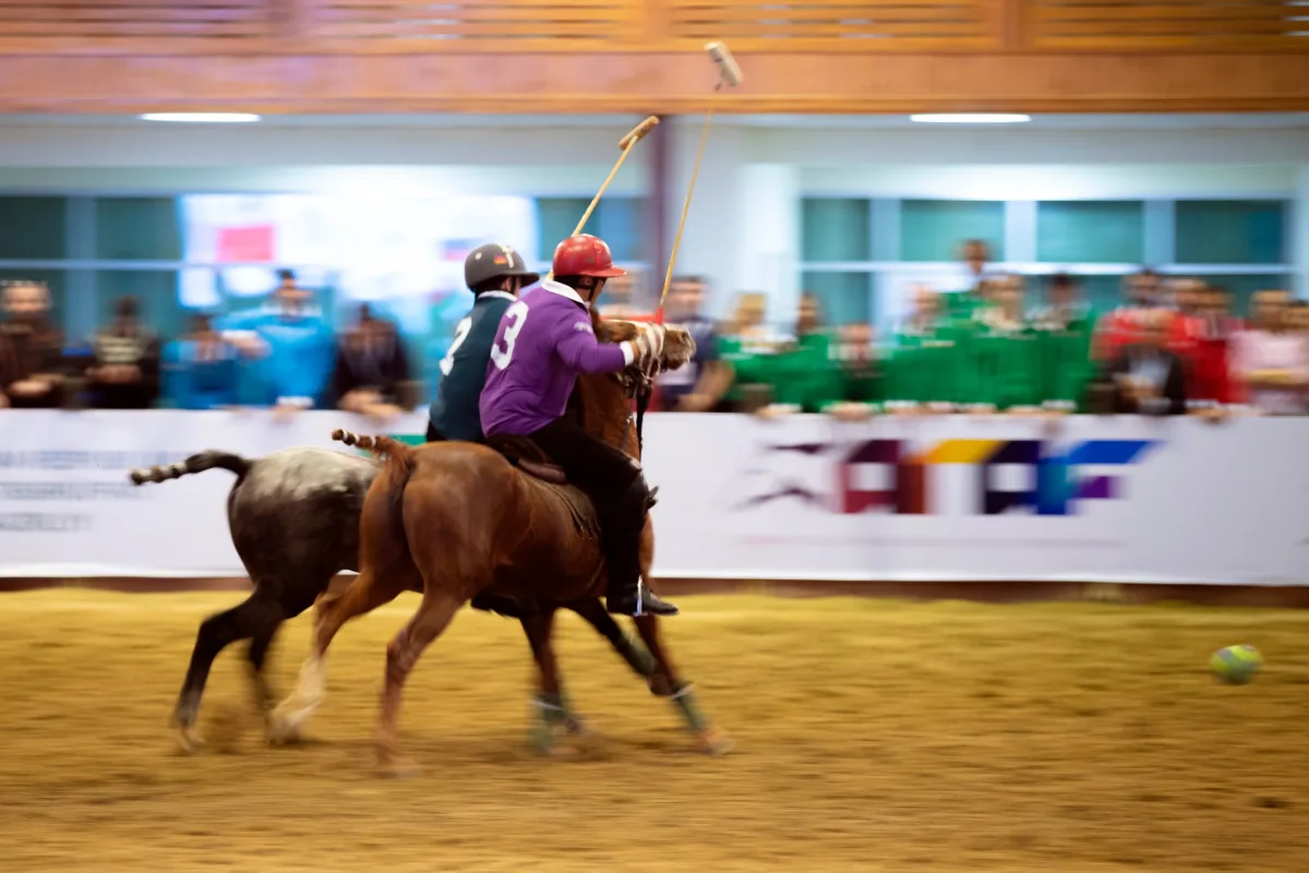 Azərbaycan Respublikası Atçılıq Federasiyası