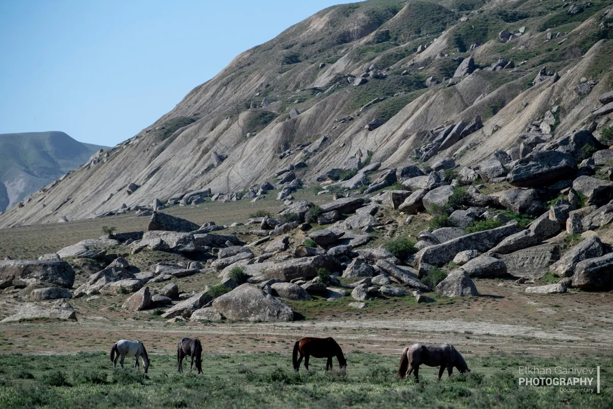 Ekotur – Toragay Palçıq Vulkanları Qoruğu Layihəsi