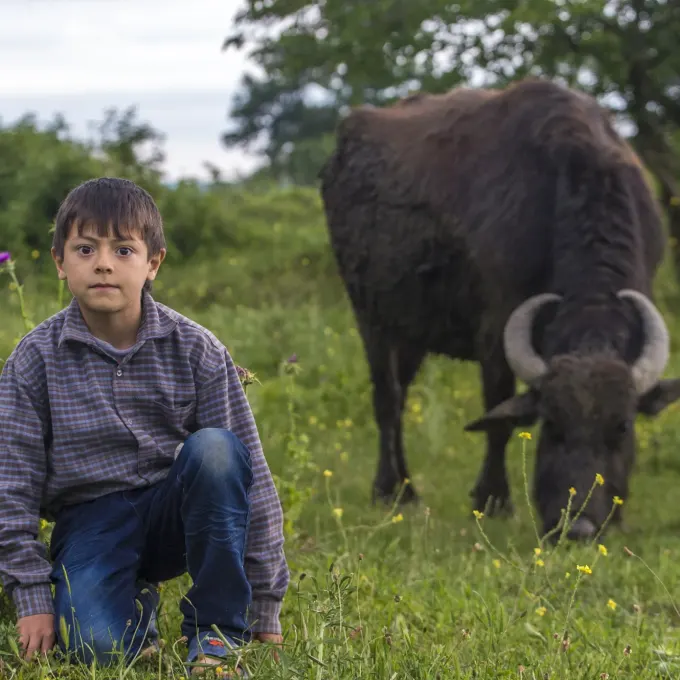 Təbiətlə üz-üzə